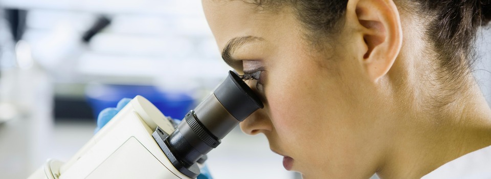 Forschung und Entwicklung Forschung und Entwicklung